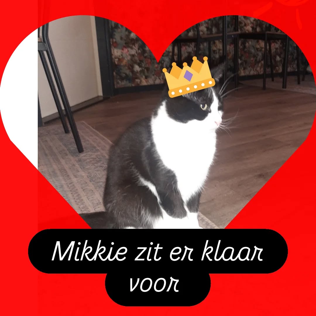 Vandaag (koningsdag) zijn wij geopend tot 15.00u !!!!