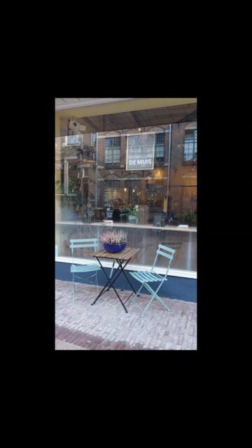 Afgelopen jaar begonnen we aan een fantastisch avontuur op de Weverstraat in Arnhem. Dank jullie wel voor alle lieve en hartverwarmende reacties! Vol enthousiasme kijken we, samen met jullie, uit naar een mooi nieuw jaar.
Team Kattencafé de Muis
#kattencafe #catlovers #oudennieuw #jaarwisseling #fireworks #weverstraat #arnhem #newyearseve #happynewyear #2024 #hartverwarmend #nieuwavontuur #cats #cafe #lovecats