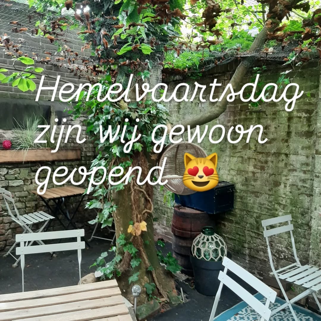 Geopend van 10.00u tot 17.30u !!!