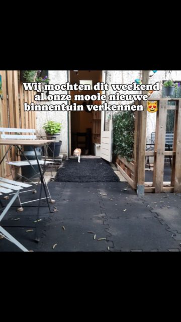 #stadstuinarnhem@kattencafedemuis