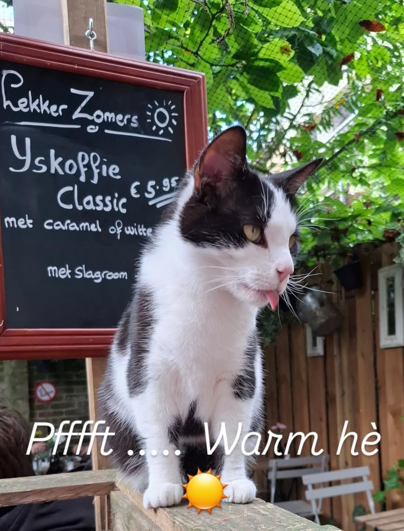 Tip ... lekkere koude ijskoffie 🥵