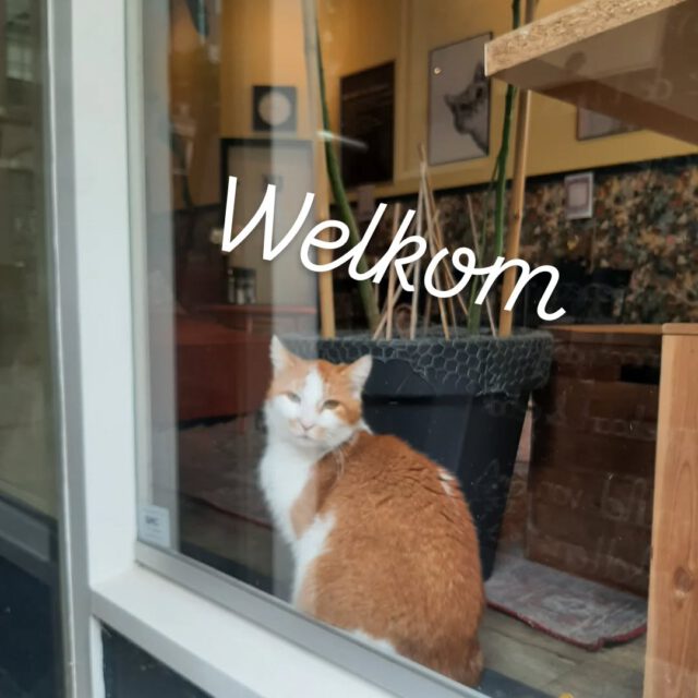 Vlokie groet jullie van harte welkom 😻