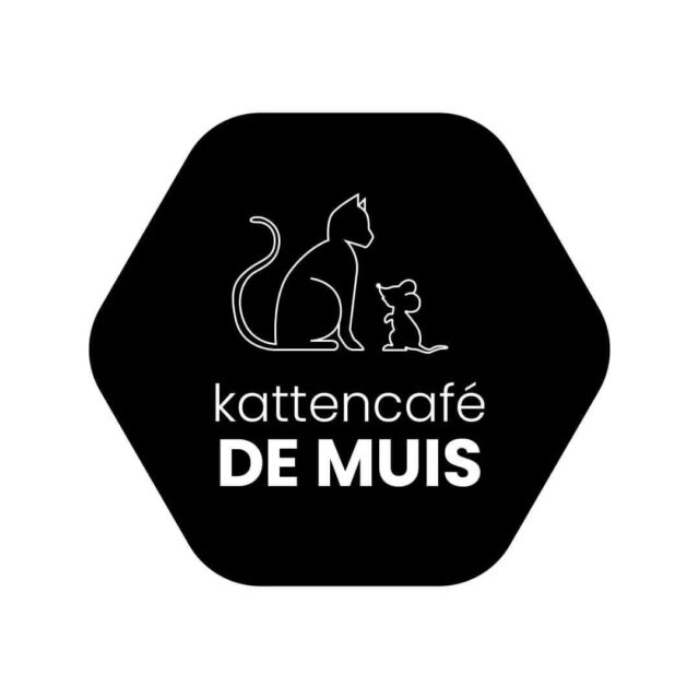 HOERA .... Kattencafe de Muis bestaat 2 jaar 🎉🎈Dat willen wij ook samen met jullie vieren. Vandaag (zondag 12 okt) trakteren wij de eerste 100 gasten op iets lekkers bij de koffie☕. Komen jullie onze katjes feliciteren, iedereen is welkom 😻