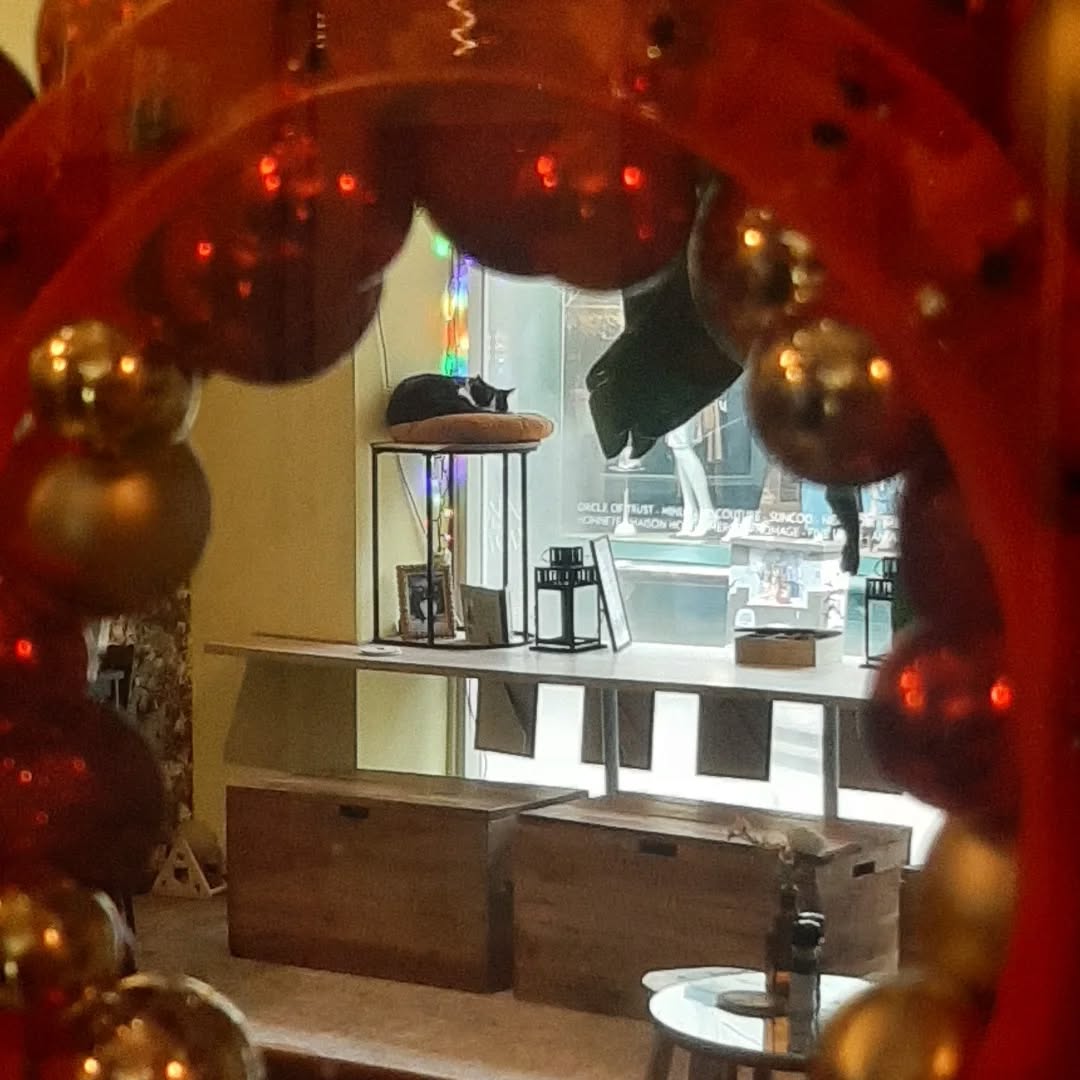 Ook vandaag tijdens de grootste kerstmarkt van het oosten zijn wij geopend 🌲Kom genieten van een kopje koffie/thee , warme chocolademelk of iets fris . Diverse broodjes , soepen , salades en lekkere gebakjes . Ons katten team staat voor U klaar 😻