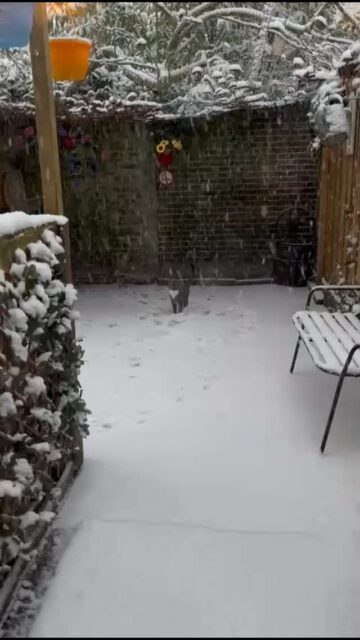 Sneeuwpret met Ollie 🐧