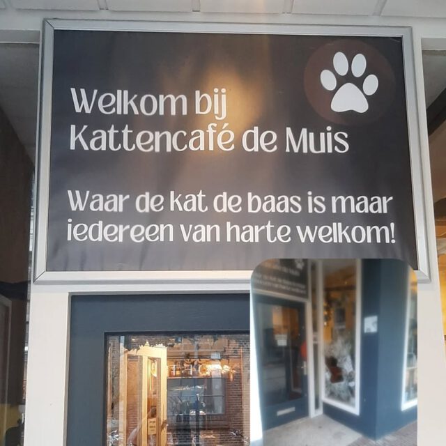 Inbraak bij Het kattencafe 😡😡😡
Gelukkig zijn onze katten ongedeerd maar de schade is groot. Wij zijn vandaag (vrijdag)dan ook gesloten om de schade te herstellen en alle glas splinters te verwijderen. Voorop staat dat onze lieverds weer veilig kunnen rondlopen ‼️😻😻😻😻😻😻😻