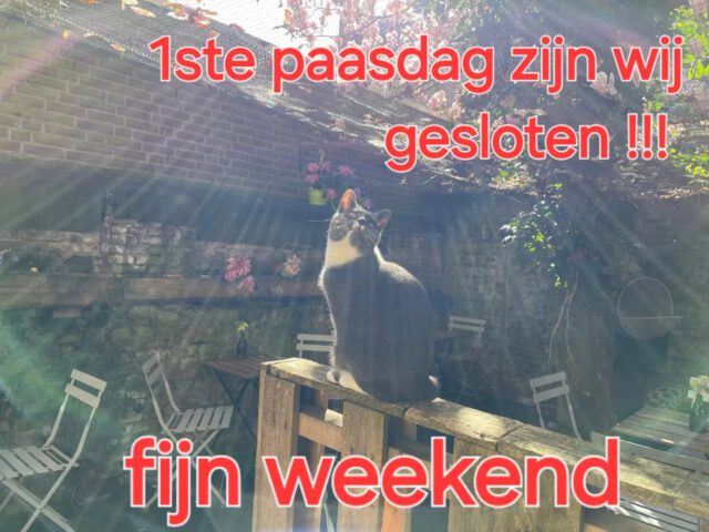 Let op .... 1ste paasdag zijn wij gesloten !! Op 2de paasdag zijn wij er weer vanaf 12.00u. Fijne dagen 🐣