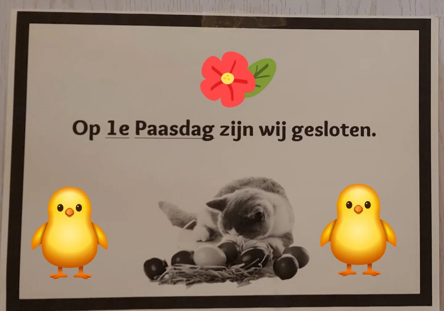 Let op !!! 
1 ste Paasdag zijn wij de gehele dag gesloten 🐣