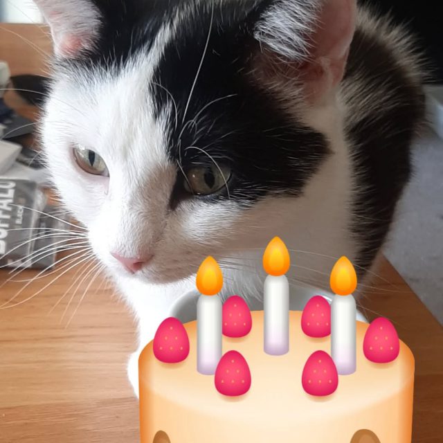 Vandaag vieren we ook de verjaardag van Owen , die nu een gouden mandje heeft bij onze chefkok