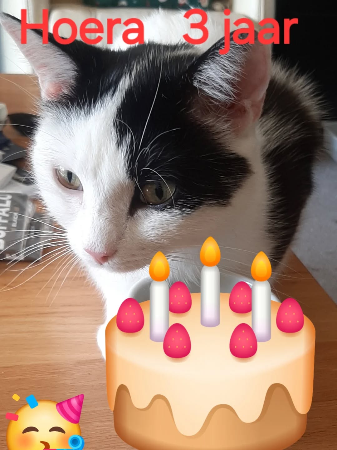 Vandaag vieren we ook de verjaardag van Owen , die nu een gouden mandje heeft bij onze chefkok