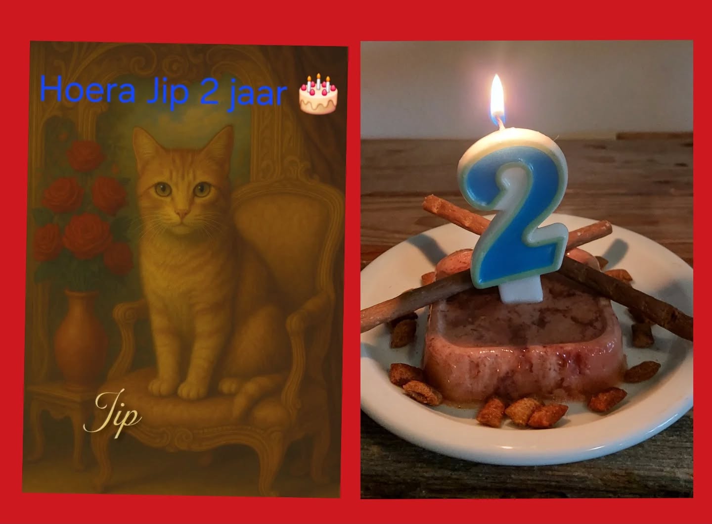 Weer een feestje bij de Muis , Onze Jip is 2 jaar geworden 😻🎂