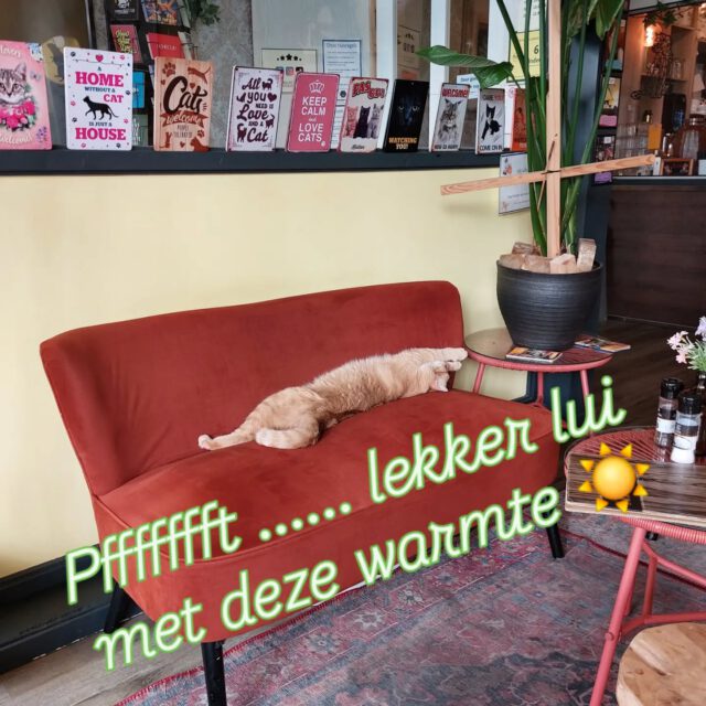 Wij doen het de komende warme dagen lekker rustig aan ☀️🥵