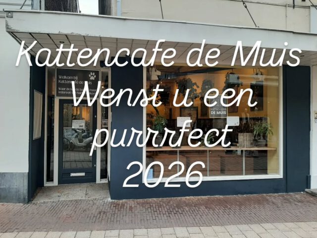 Let op !!! 1 Jan. zijn wij gesloten 🐈⬛