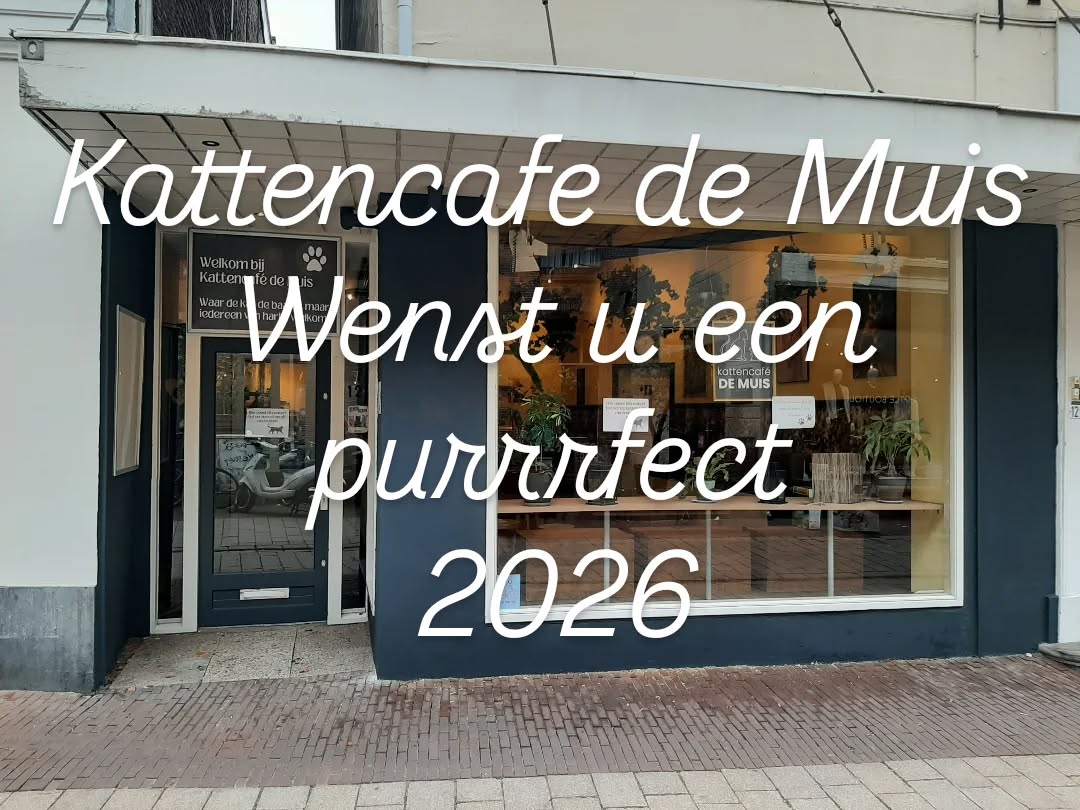 Let op !!! 1 Jan. zijn wij gesloten 🐈⬛